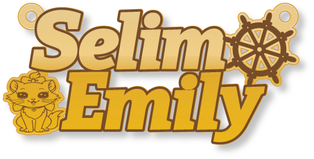 Selim Emily · تصميم خط عربي ومجوهرات ليزر · مسار مغلق للفايبر ليزر · Gold Name - اسمك ذهب