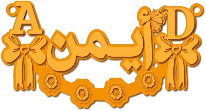 أيمن